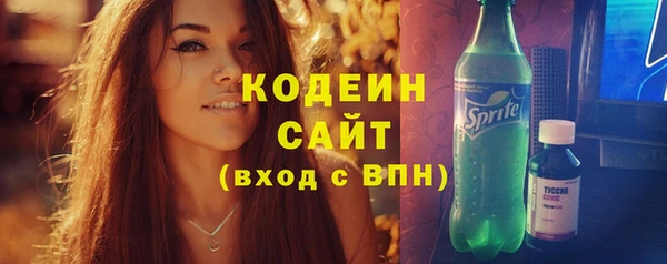 шишки Белоозёрский