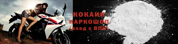 шишки Белоозёрский
