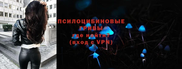 шишки Белоозёрский