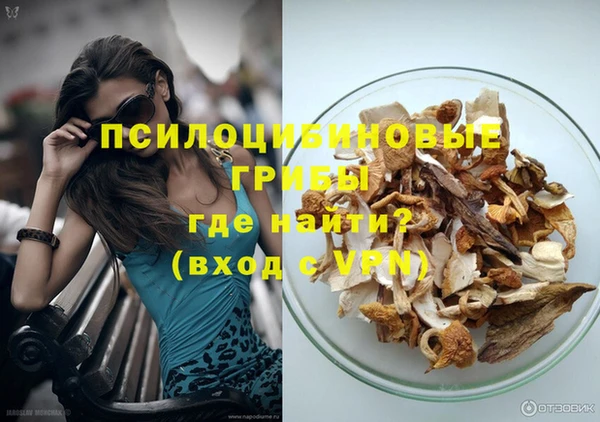 молекула духа Белокуриха
