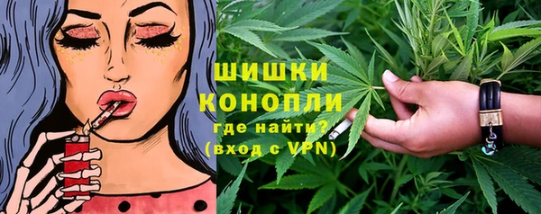 шишки Белоозёрский