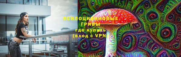 молекула духа Белокуриха