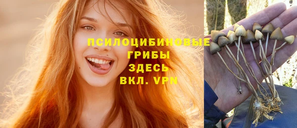 молекула духа Белокуриха