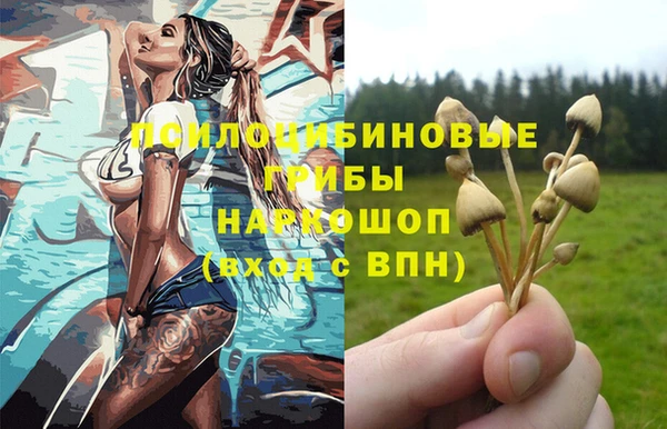 дживик Балахна